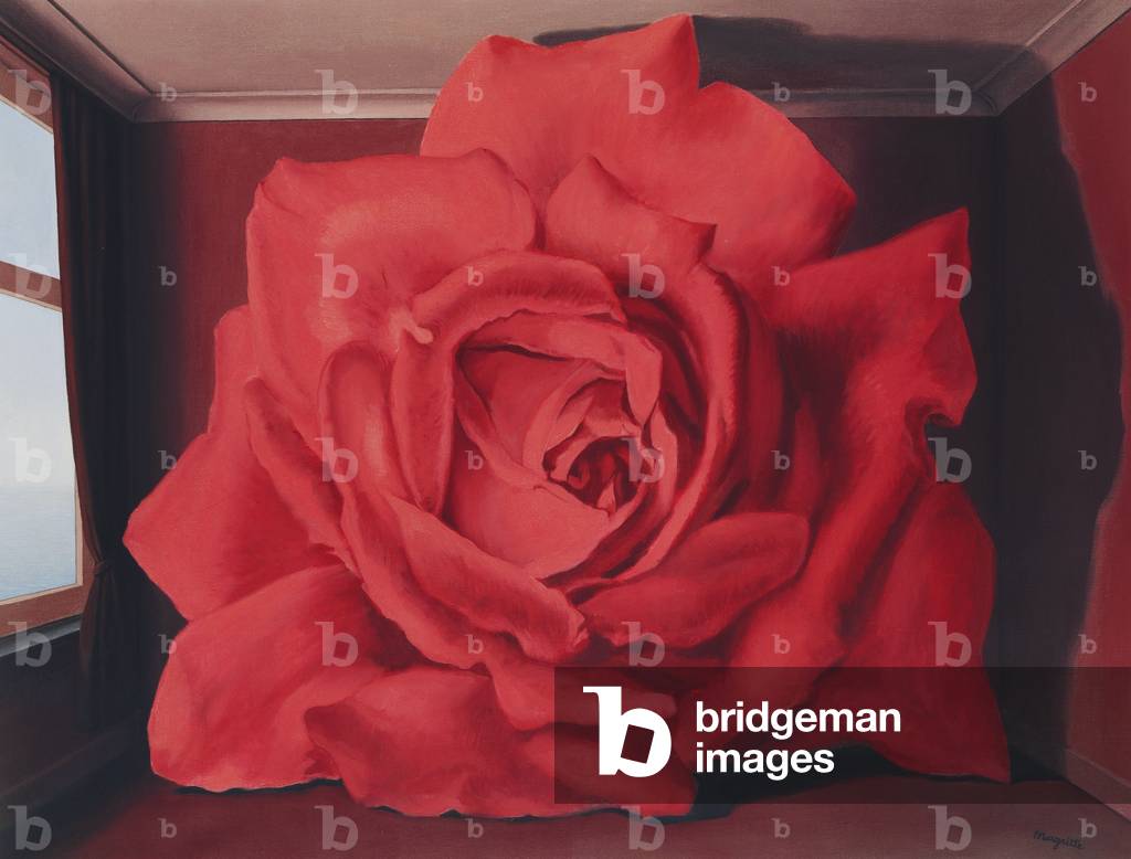 Tomba dei lottatori 1960 (olio su tela)