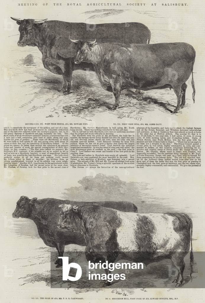 "Incontro della Royal Agricultural Society a Salisbury (incisione)" 1857 di Harrison William Weir