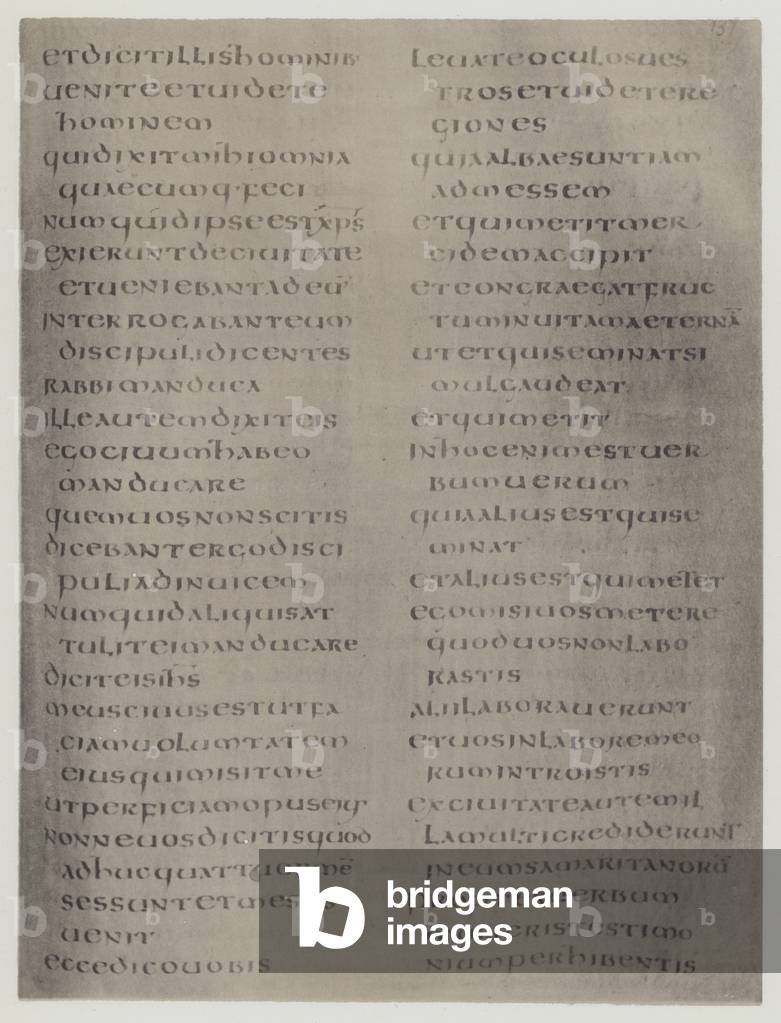 Image de Estampe représentant Latin (litho) par English School