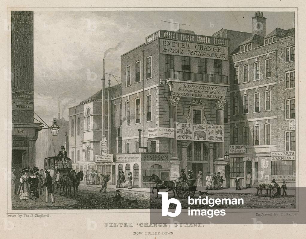 Exeter Cambiare, The Strand, Londra (incisione)