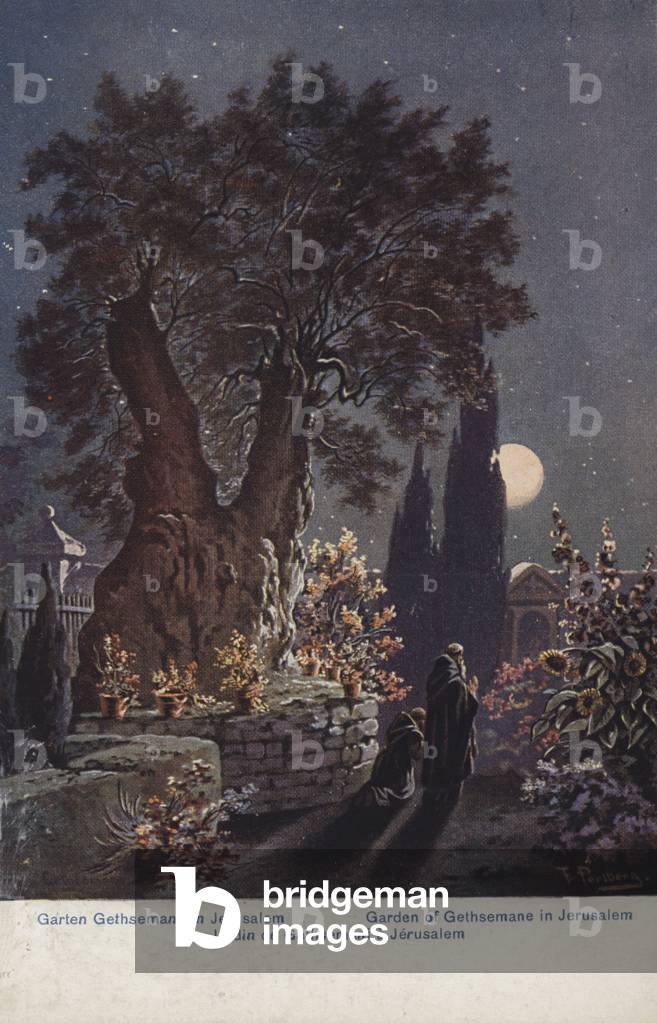 Immagine di Stampa "Il Giardino del Getsemani a Gerusalemme (litografia a colori)" 1900 di European School