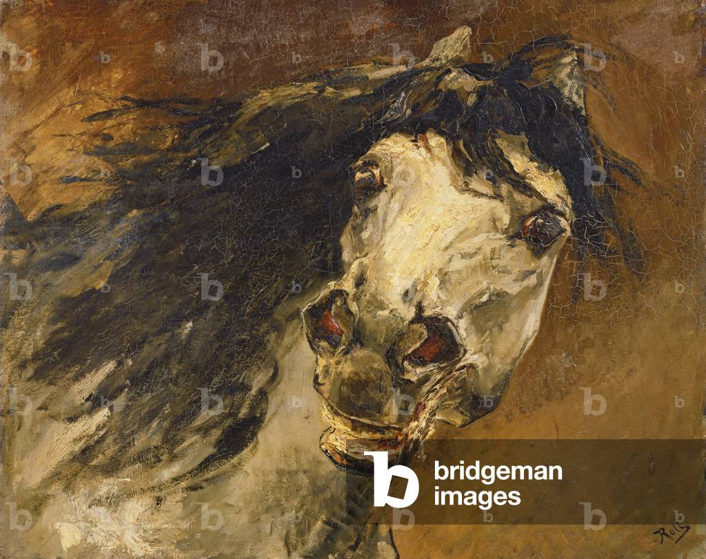 testa di un cavallo olio su tela