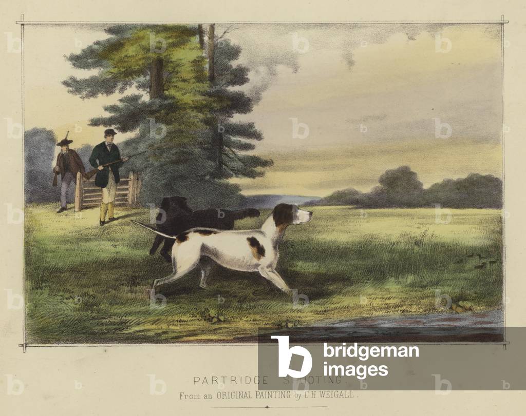 Image de Estampe représentant Partridge Shooting (couleur litho) 1801 par English School