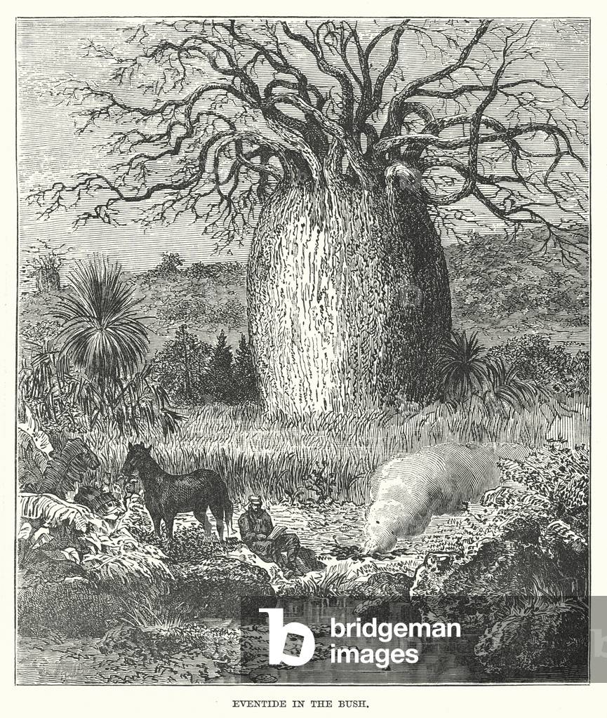 "Eventide im Busch (Gravur)" 1900 von English School