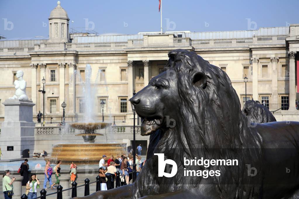 Lion and National Gallery at Trafalgar Square in London . (photo)