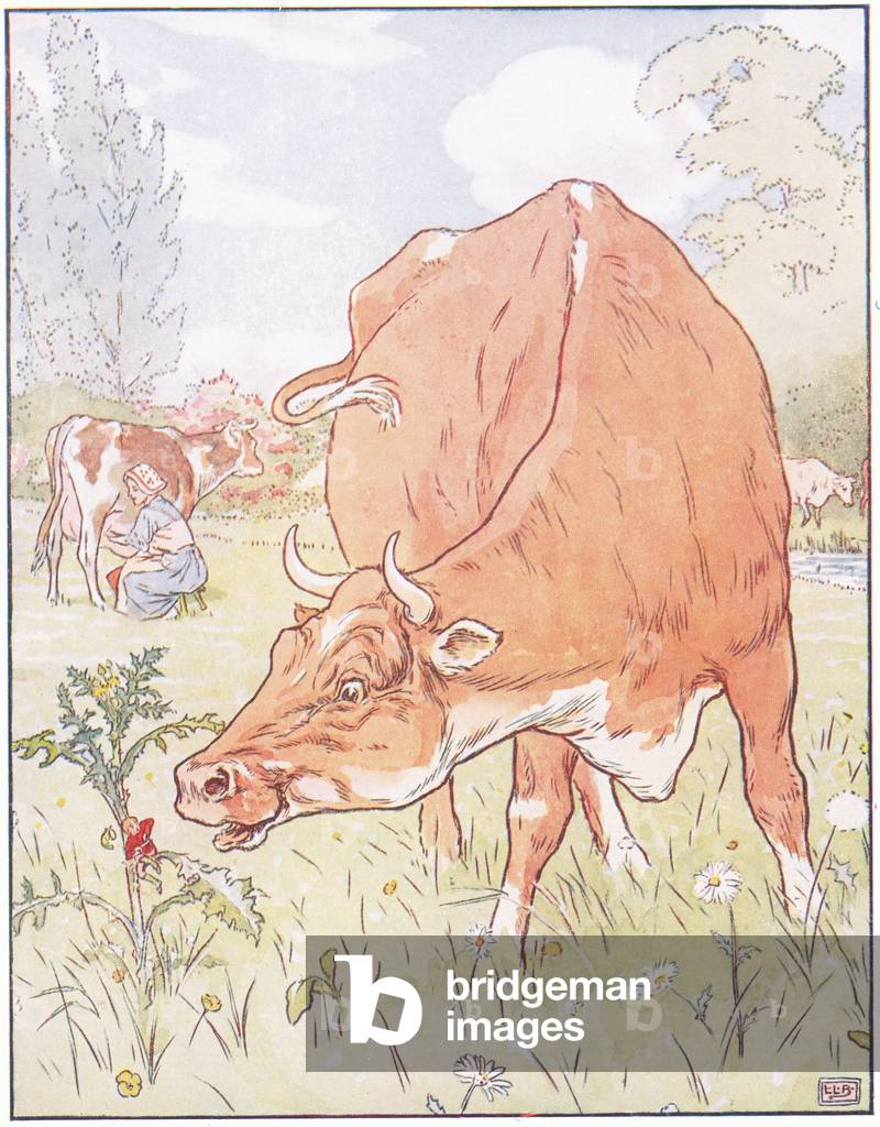 A cow bit off the thistle and swallowed poor Tom (colour litho) by Leonard Leslie Brooke