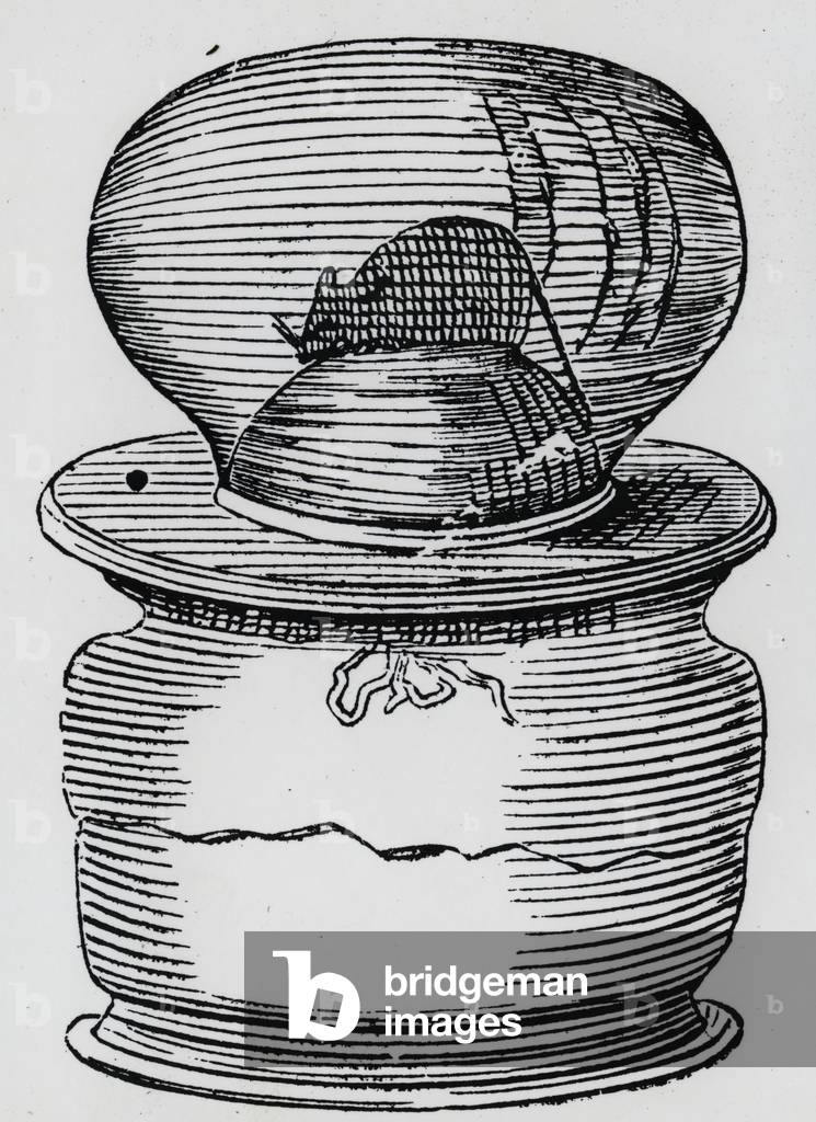 John Mayows (1640-1679) Experiment, um zu beweisen, dass das Luftvolumen durch Atmung verringert wird. Von sei