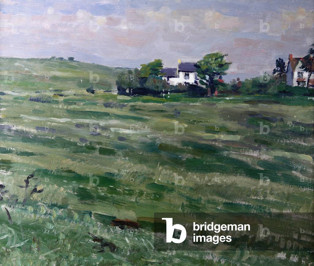 Immagine di Dipinto "Clyne Common" 1957 di David Bell