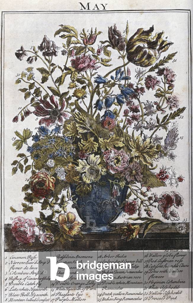 Bild von Gravur "Blumenstrauß - Mai 19. Jahrhundert Künstler unbekannt Lithographie" 1801 von Unknown Artist