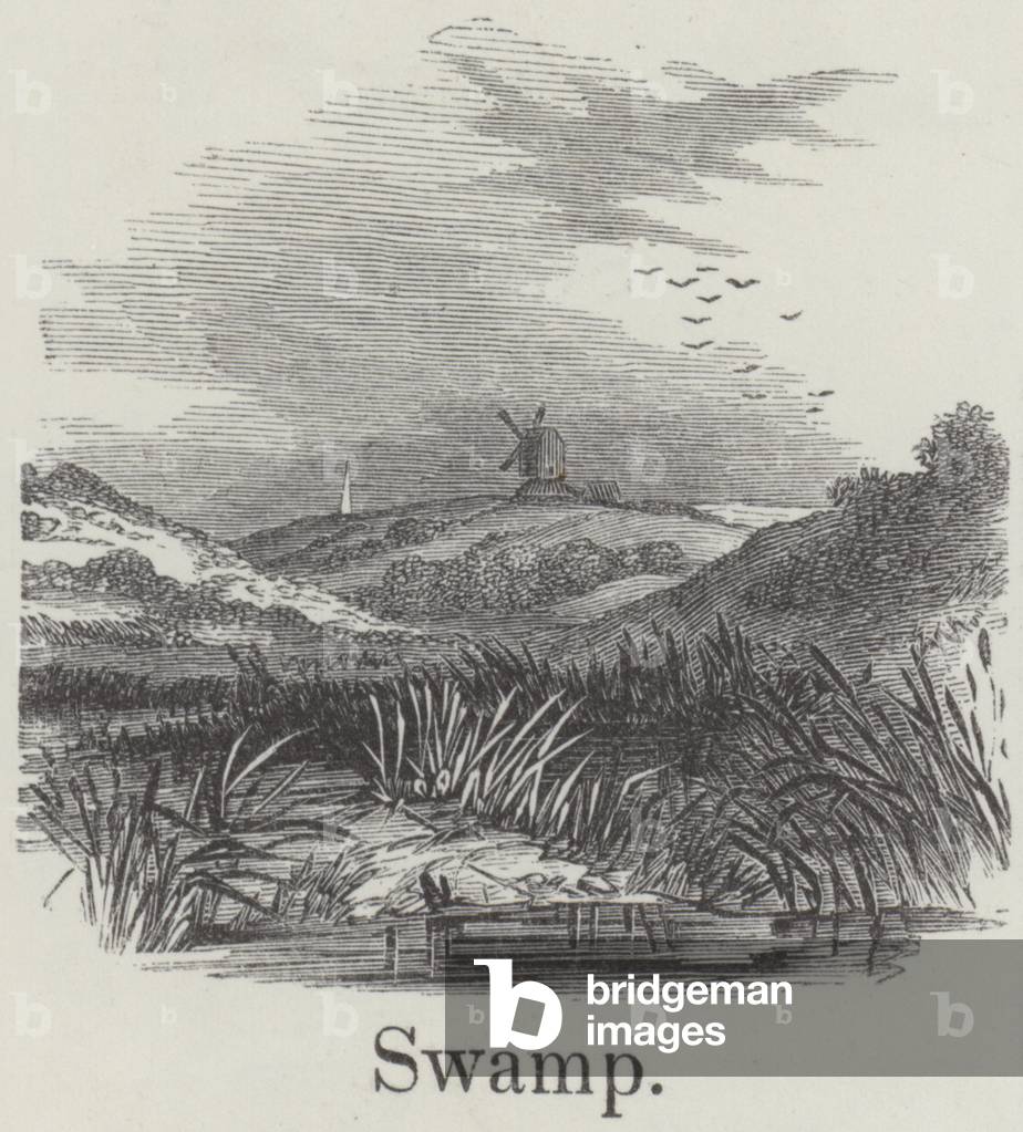 Swamp (engraving) by English Artist