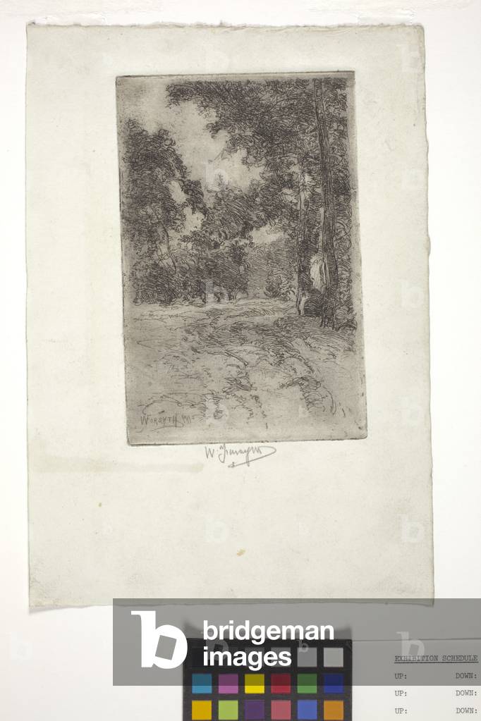 Williams Creek (etching)