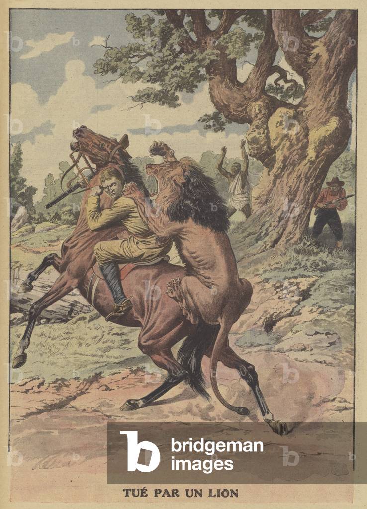 Tué par un lion (coloris litho) par French School
