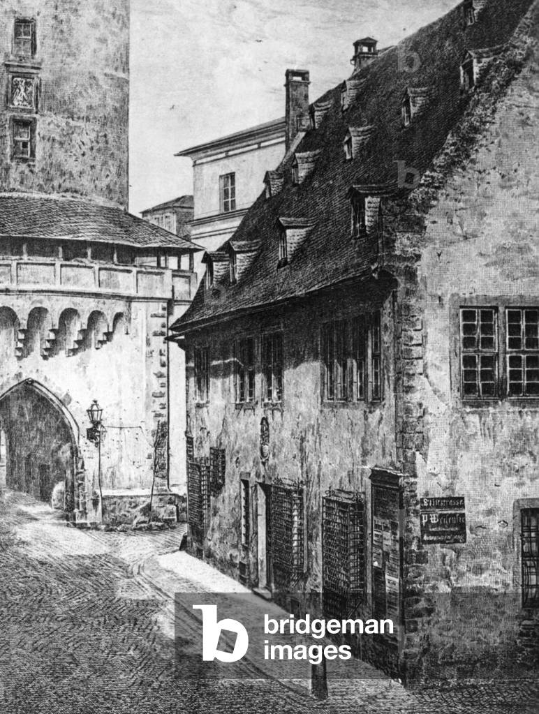 Immagine di Fotografia "Il Senckenberg Stiftshaus a Francoforte sul Meno" 1914, b/w