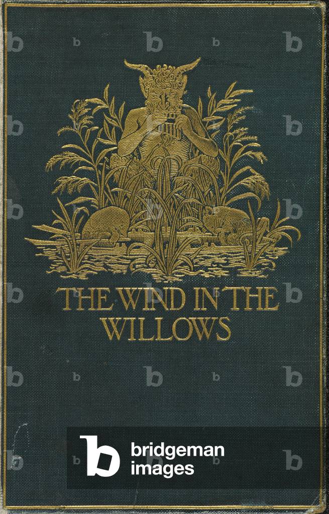 Bild von Buch "Vorderseite von The Wind in the Willows"