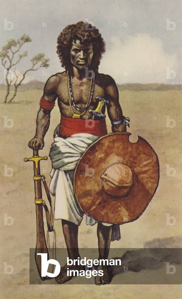 Fuzzy Wuzzy (Farbe litho)