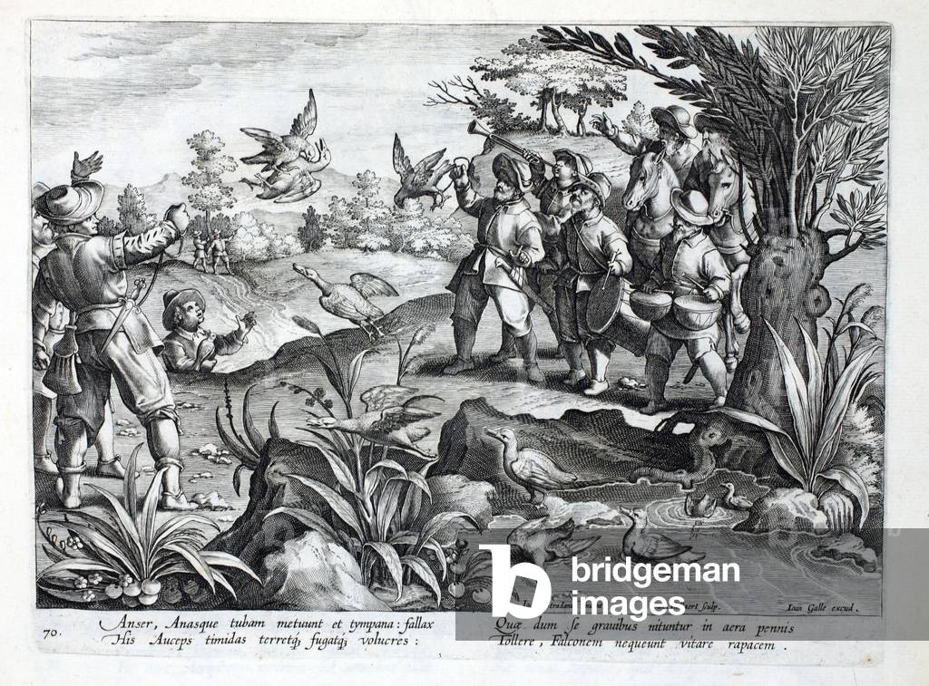Cacciatori che utilizzano falchi per cacciare oche, illustrazione da 'Venationes, Ferarum, Avium, Piscium '(Di