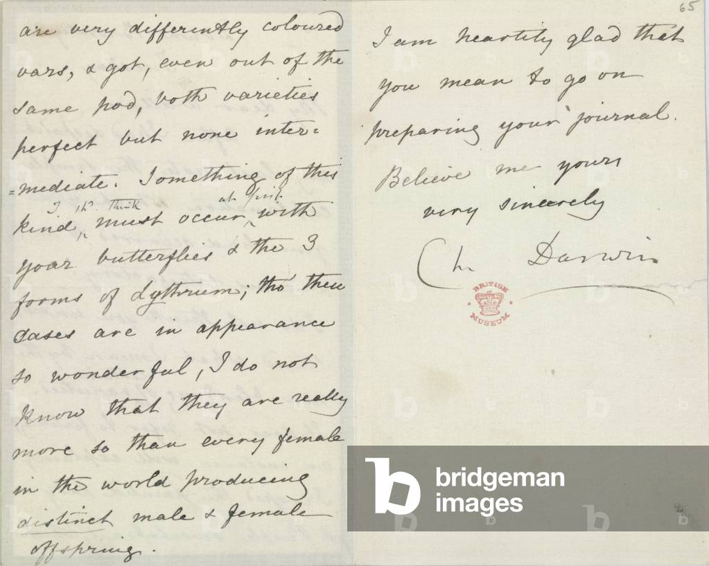 "Lettera di Charles Darwin"