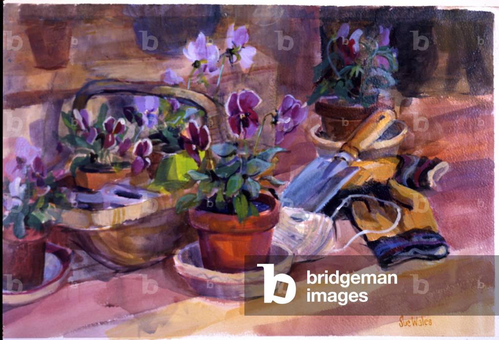 Potting up the pansies, 1996 (guazzo su cartoncino)