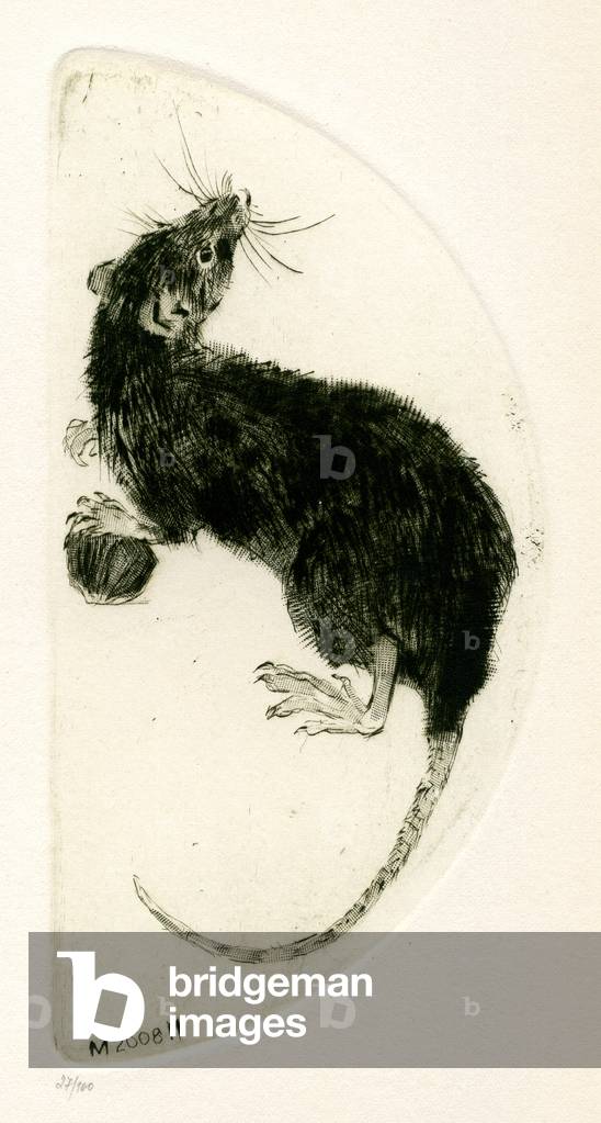 Immagine di Incisione "Rat", 2007 di Irina Makoveeva, b/w