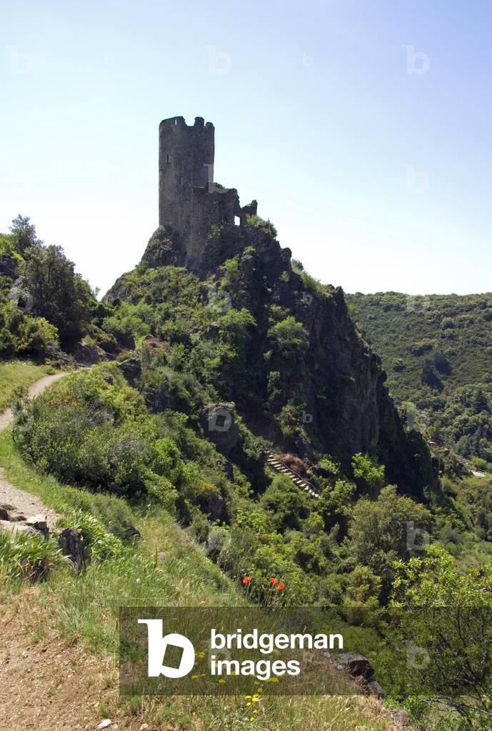 Château cathare