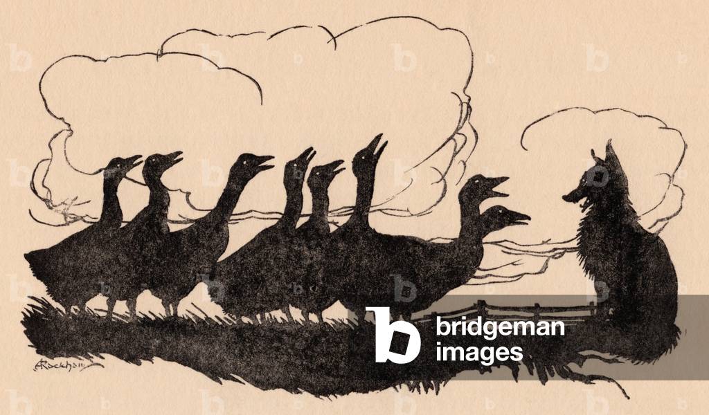 Illustration von Arthur Rackham aus Grimms Märchen, dem Fuchs und den Gänsen.