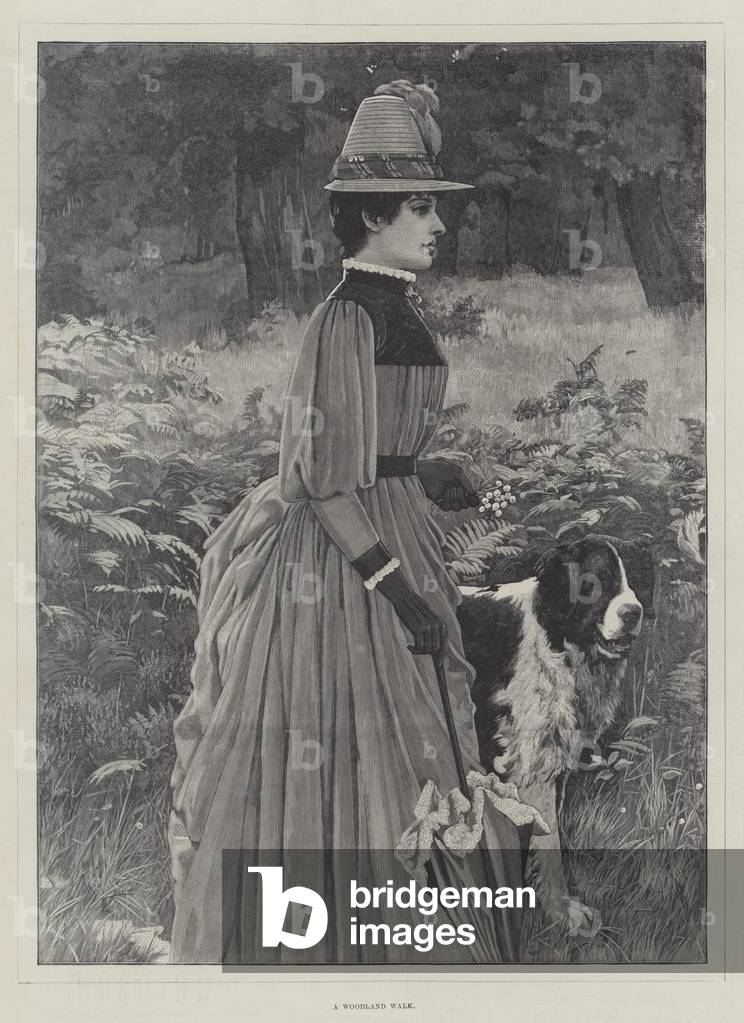 A Woodland Walk (gravure) 1887 par English School