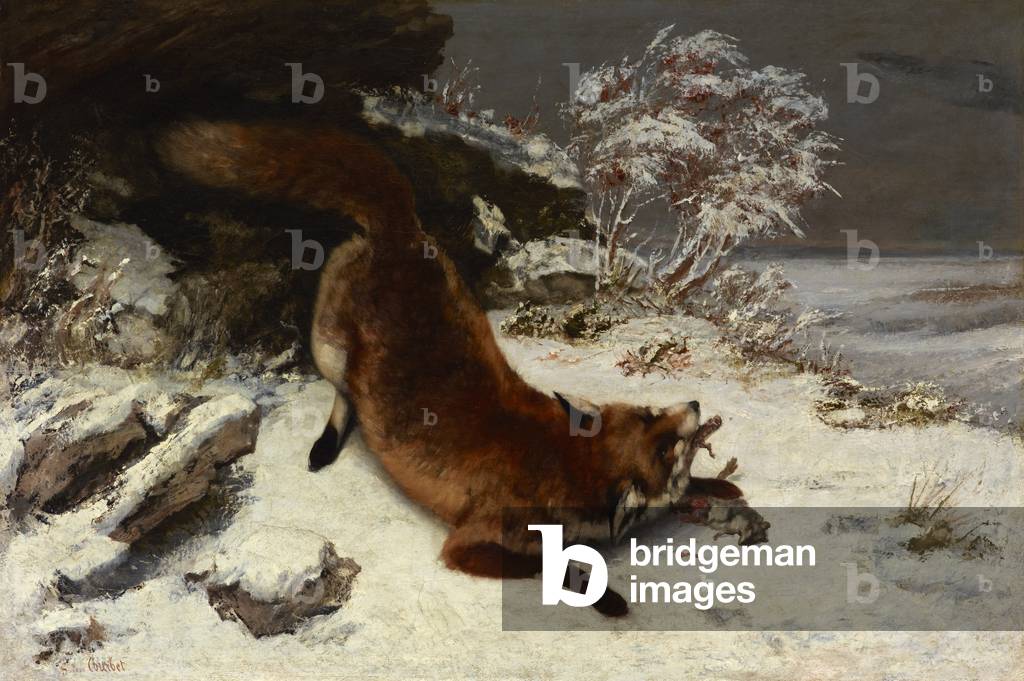 Immagine di Dipinto "Volpe nella neve", 1860 di Gustave Courbet