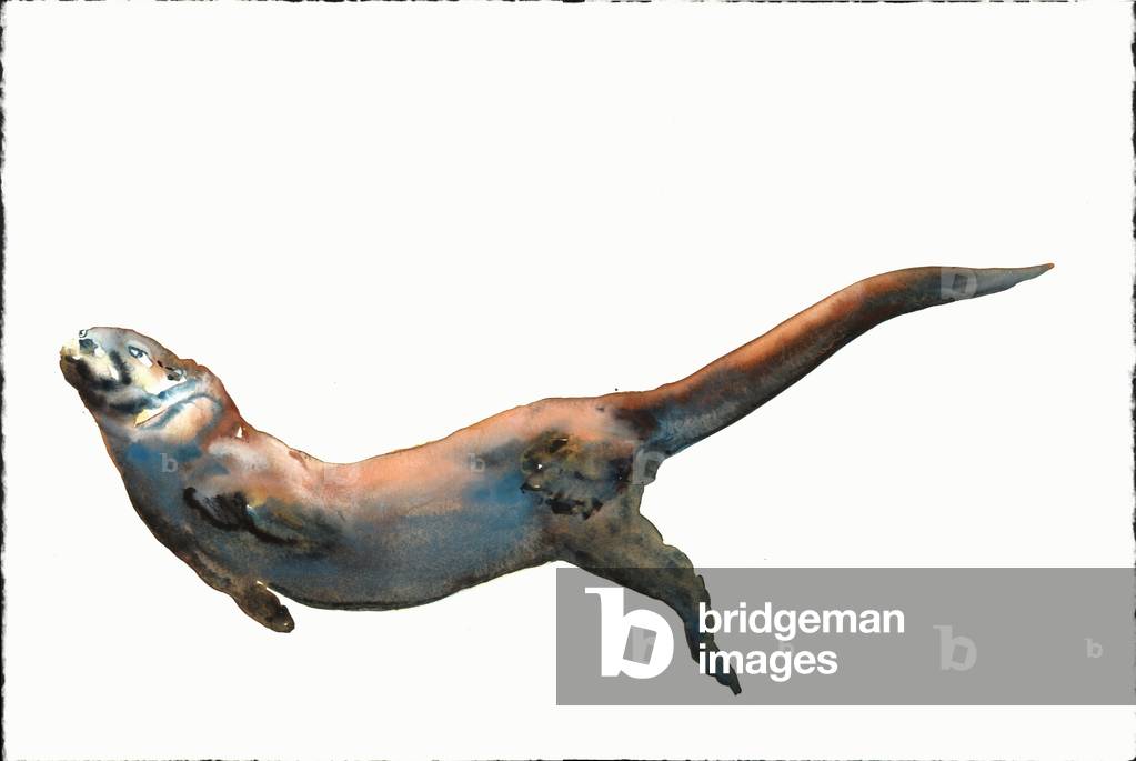 Immagine di Disegno "

Il cane otter" 2014 di Mark Adlington