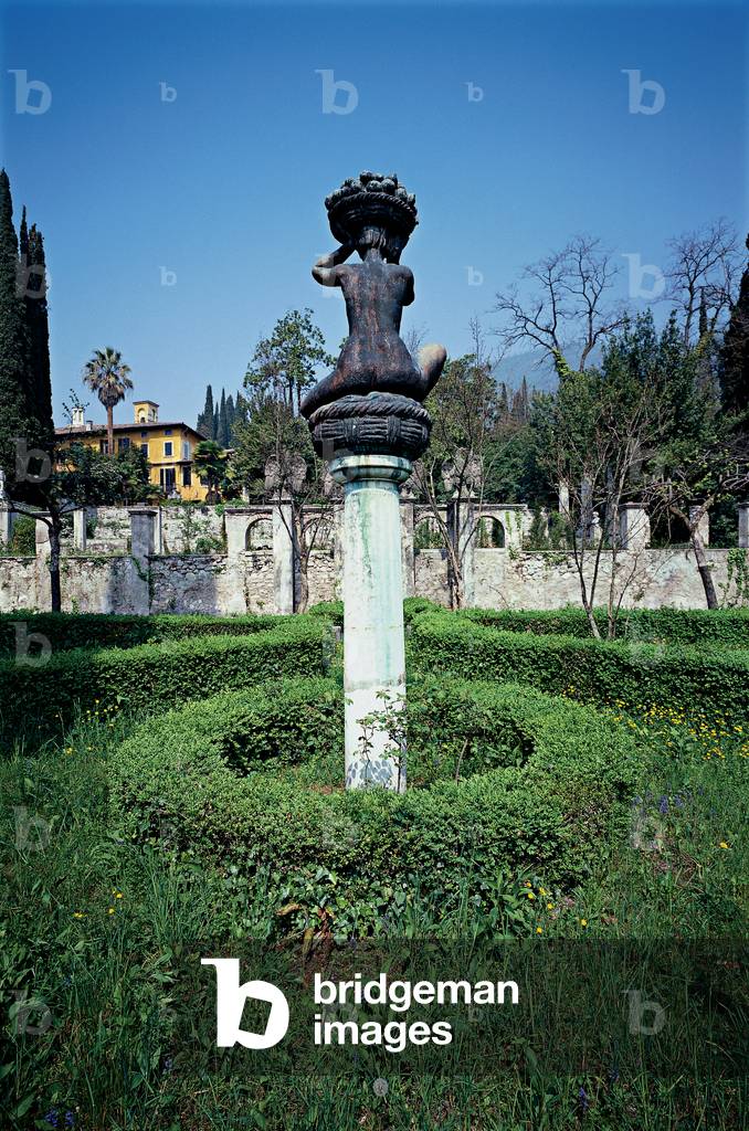 Canephora,