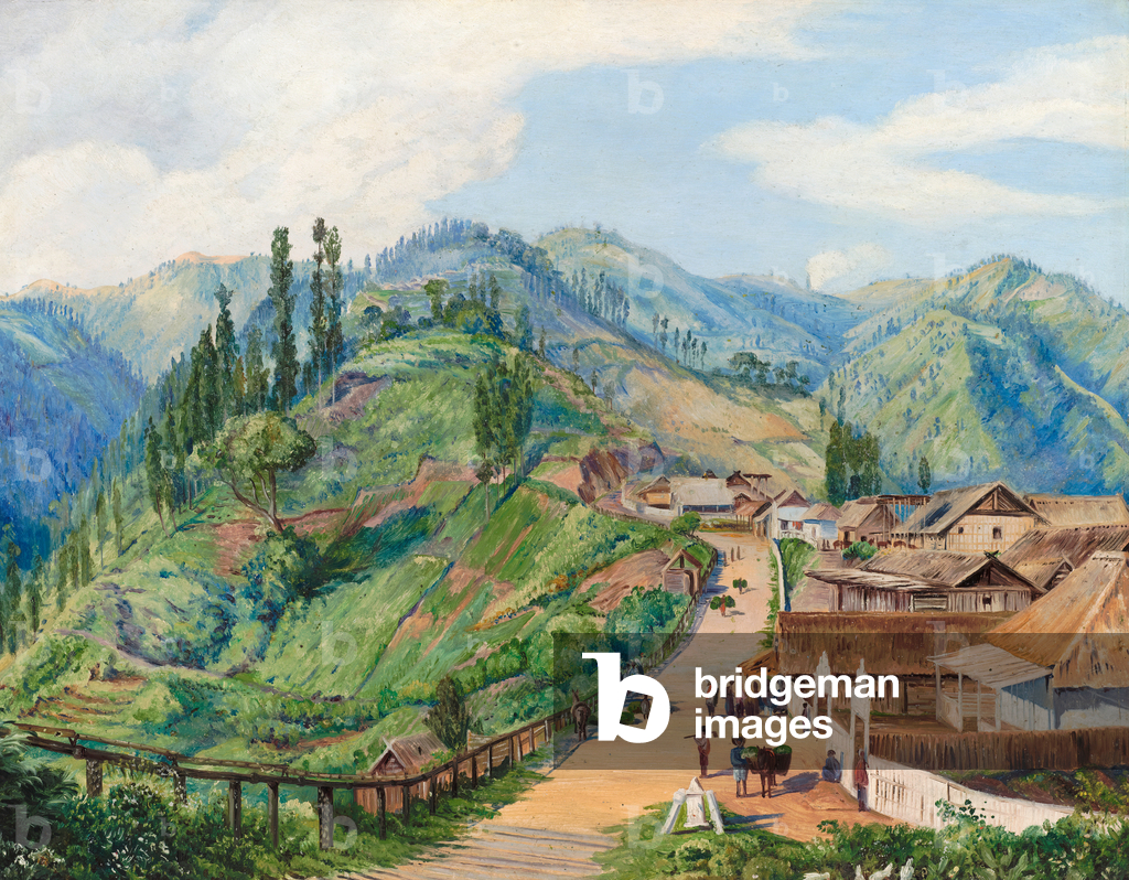 Image de Peinture représentant Village de Tosari 1880 par Marianne North