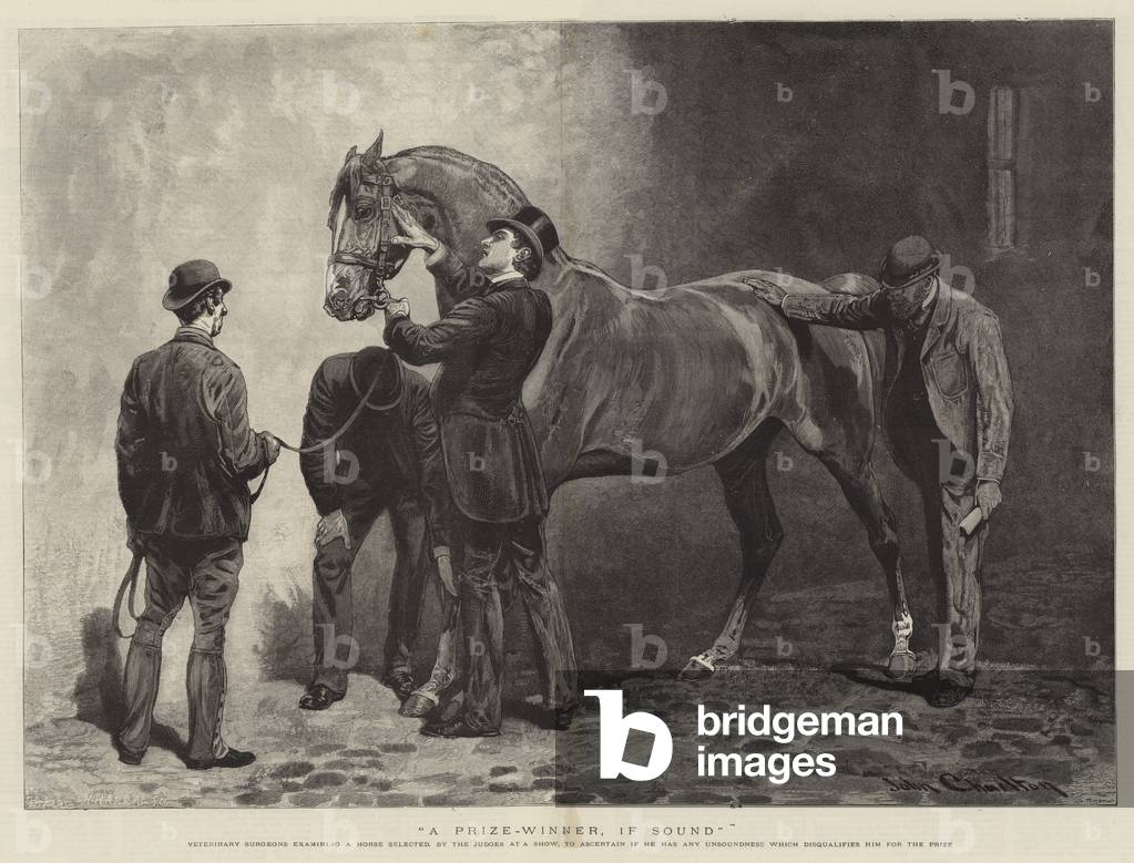 Vincitore del premio, se Suono (incisione)