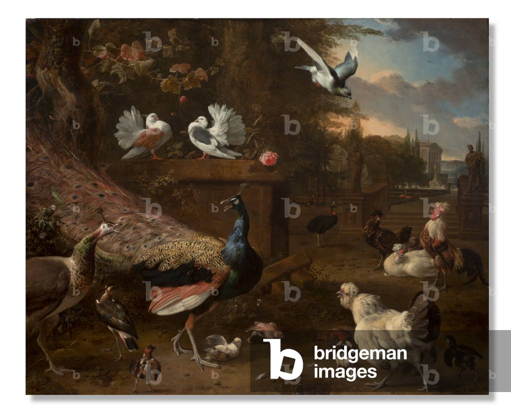 Bild von Gemälde "Menagerie" 1680 von Melchior de Hondecoeter