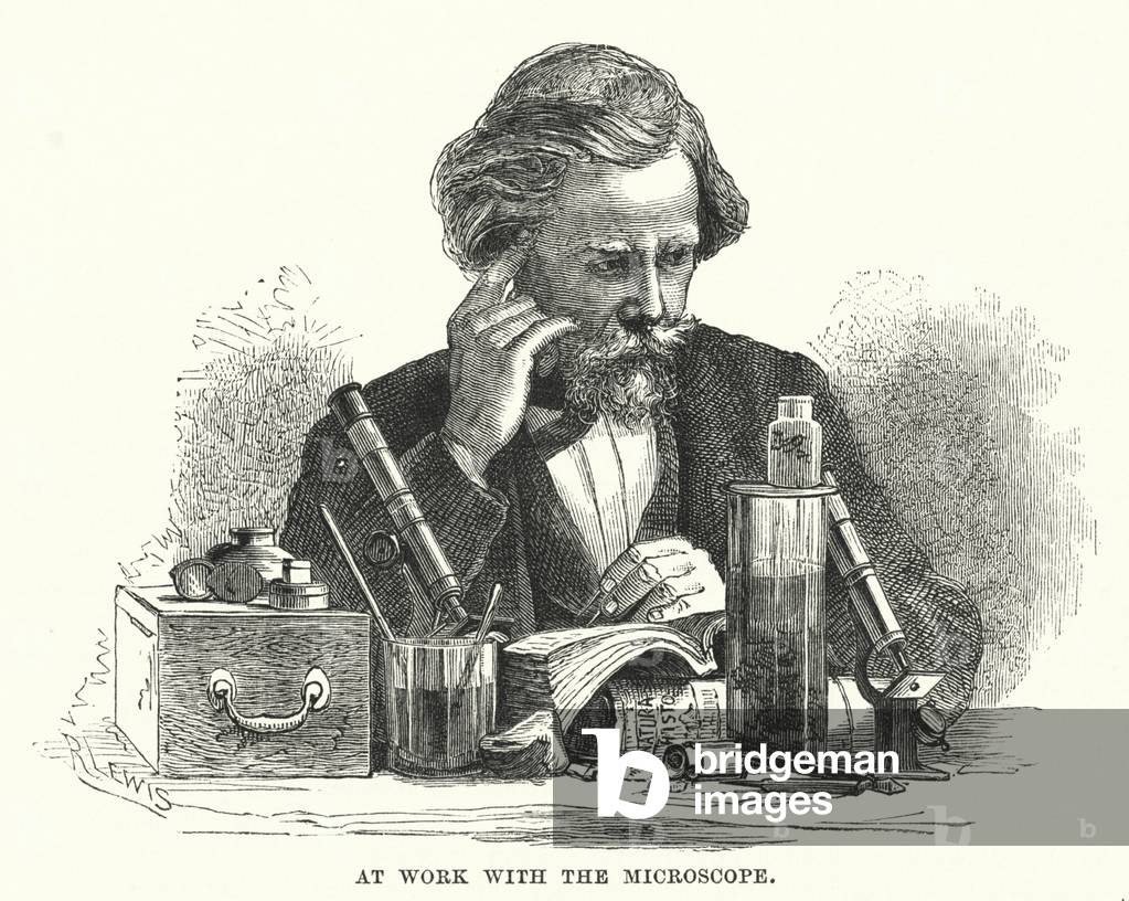 "Al lavoro con il microscopio (incisione)" 1801 di English School