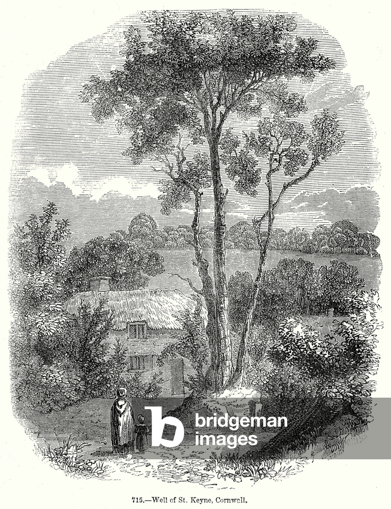 Pozzo di St Keyne, Cornovaglia (incisione)