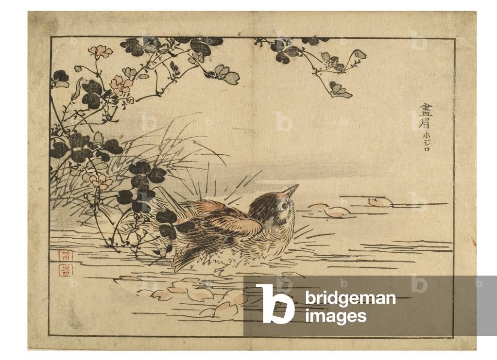 "Vogelschwimmen" 1800 von Japanese School