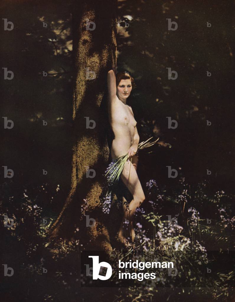 Weiblicher Akt (Farbfoto)