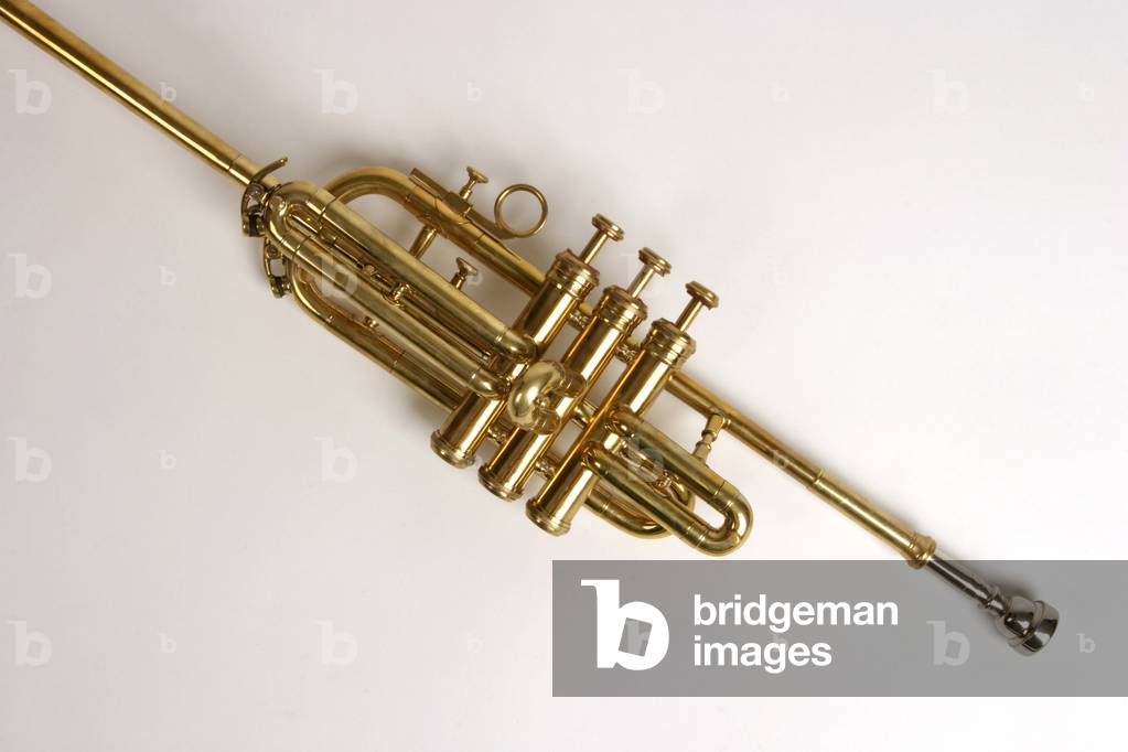 Bild von Fotografie "Fanfare oder zeremonielle Trompete" von Chris Stock, b/w