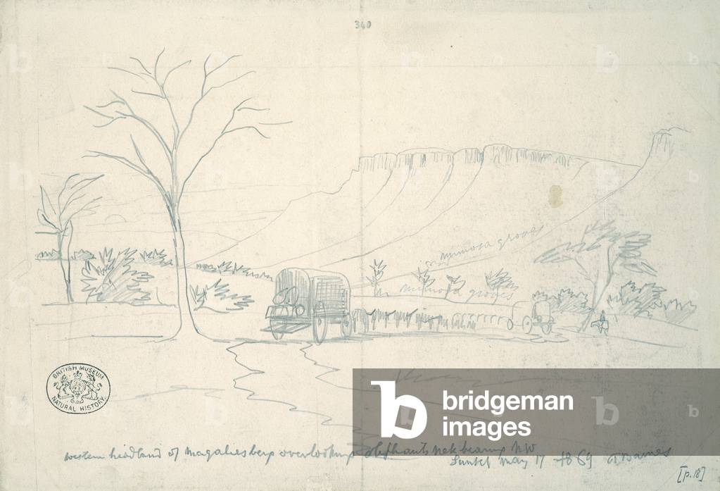 Western headland of Magaliesberg by Thomas Baines