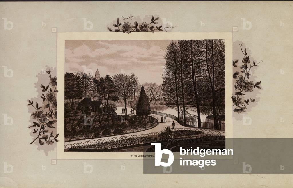 Immagine di Stampa "Nottingham Views (litografia)" di English School
