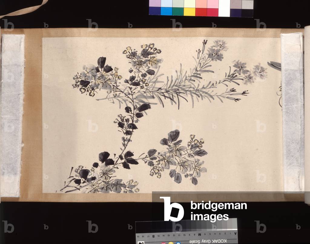Immagine di Dipinto "Piante fiorite delle quattro stagioni" 1842 di Kaisen Oda