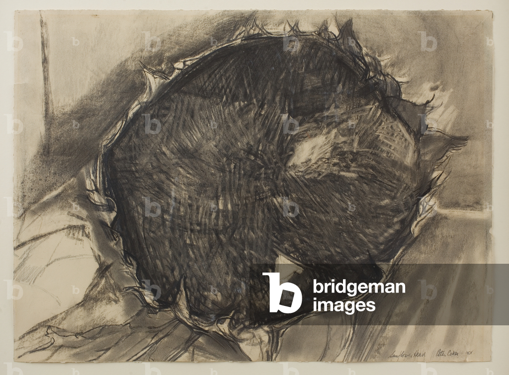 Sunflower Head, 1958 (charcoal  on paper)