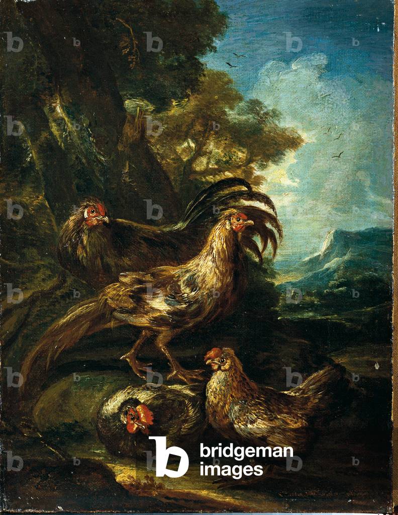 Bild von Gemälde "Hühner", 1700 - 1730