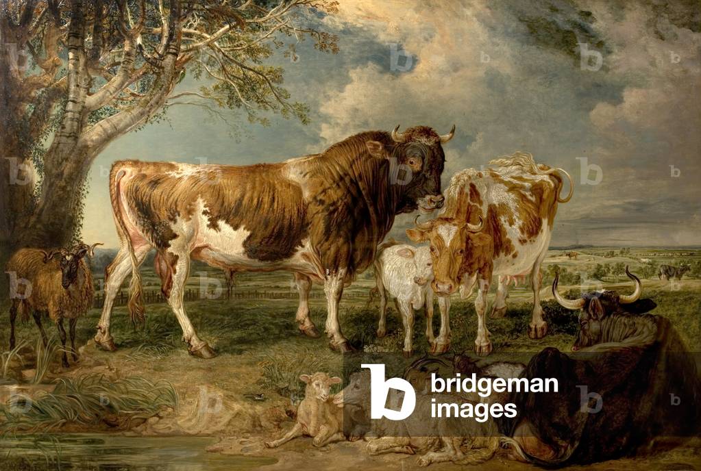 Bild von Gemälde "Stier" 1837 von James Charles Ward