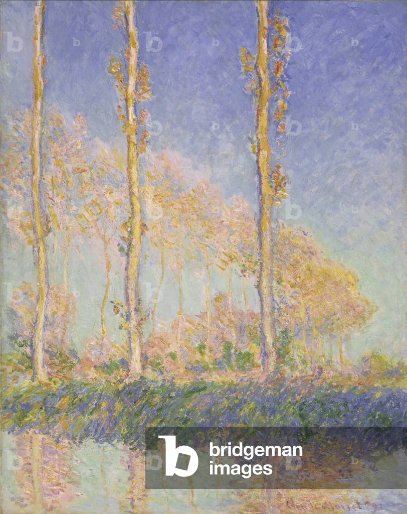 Bild von Gemälde "Pappeln" 1891 von Claude Monet