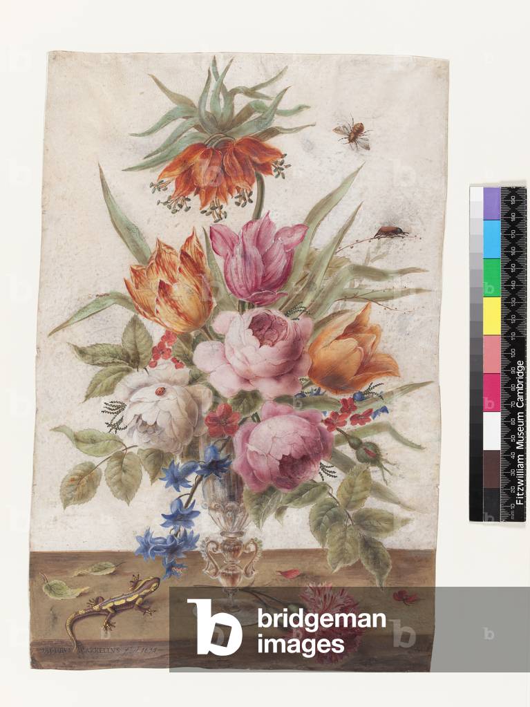 Venetian glass goblet containing flowers with a lizard and insects by Jacob Marrel