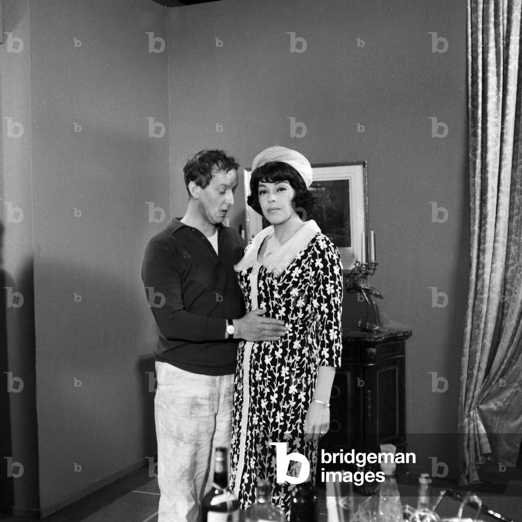 Image of The cat in the bag