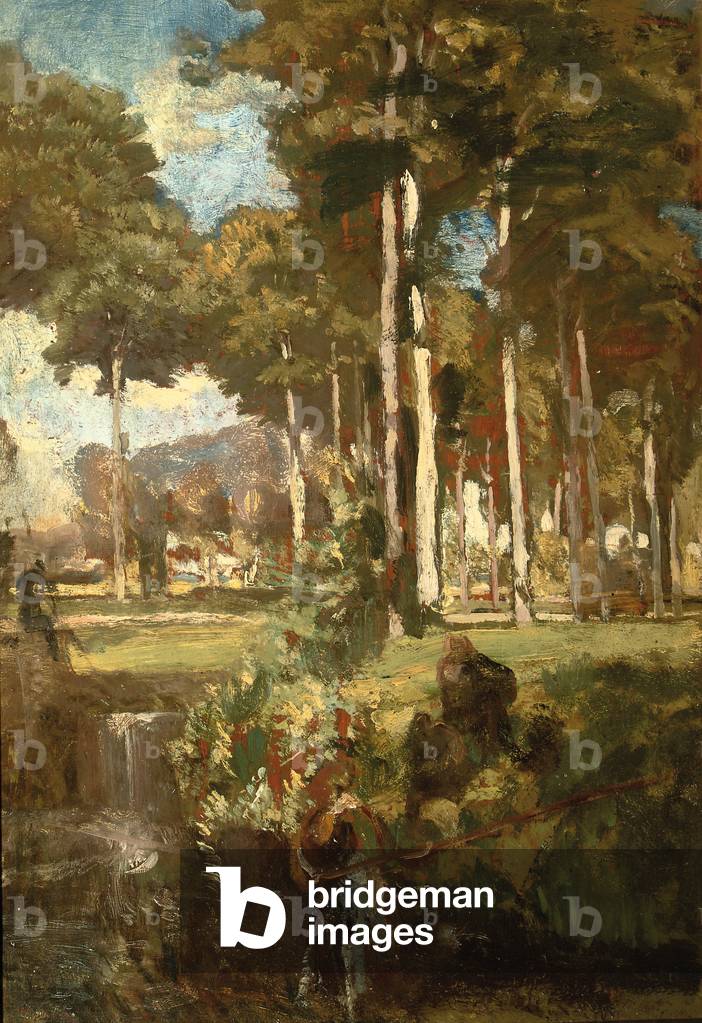 Immagine di Dipinto "Berkenbos (olio su tavola)" di Willem Adriaan van Konijnenburg