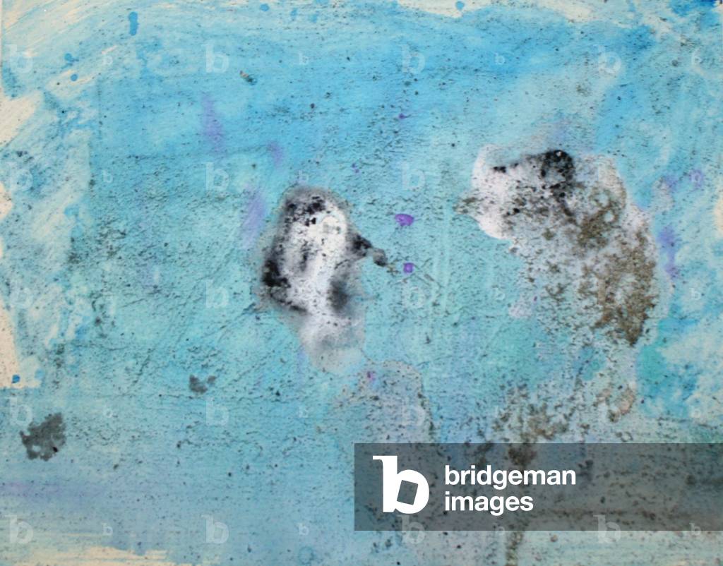 norvegia, 2007, (ghiaccio marino dal Mare di Ross dell'Antartide, sedimento dalle valli secche dell'Antartide 