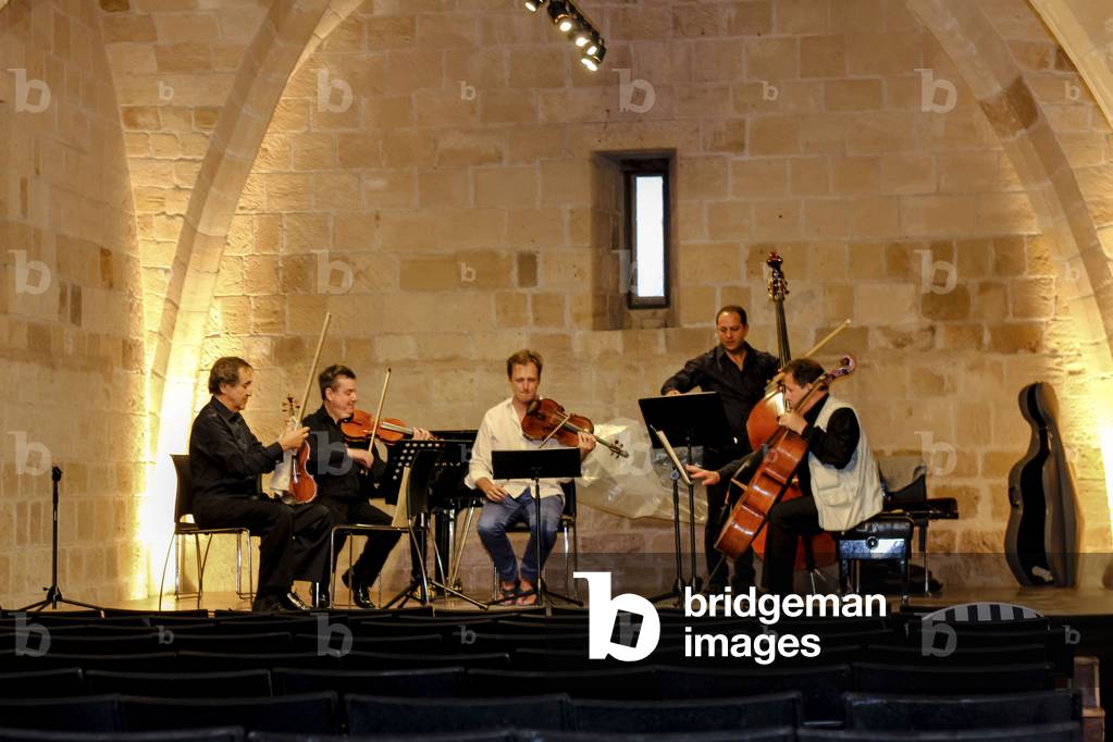 Immagine di Fotografia "Quintetto in concerto alla Royal Manor House" 2013
