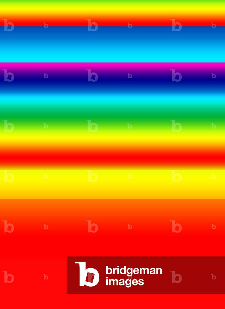 Campo colore #9, 2019 (illustrazione)
